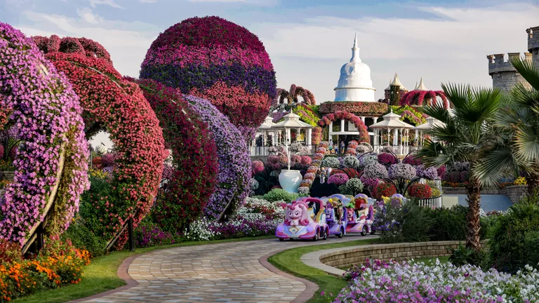 حديقة الزهور المعجزة (Miracle Garden)
