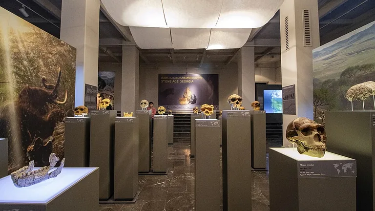 georgian_national_museum